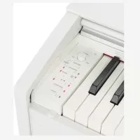 Casio PX-770WE