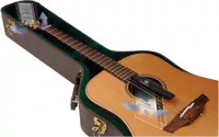 Planet Waves PWHPK01