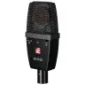 sE Electronics sE4100 (P)