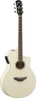 Yamaha APX600 VW