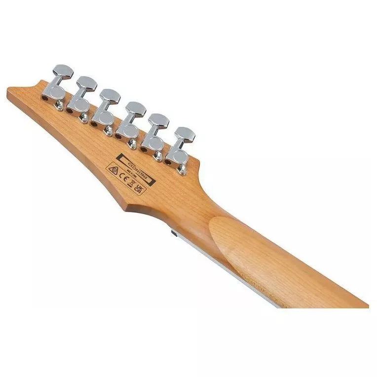 Ibanez GRG220PA1 Ibanez GRG220PA1
