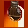 Fender PALOMINO VINTAGE SIENNA SUNBURST W/C