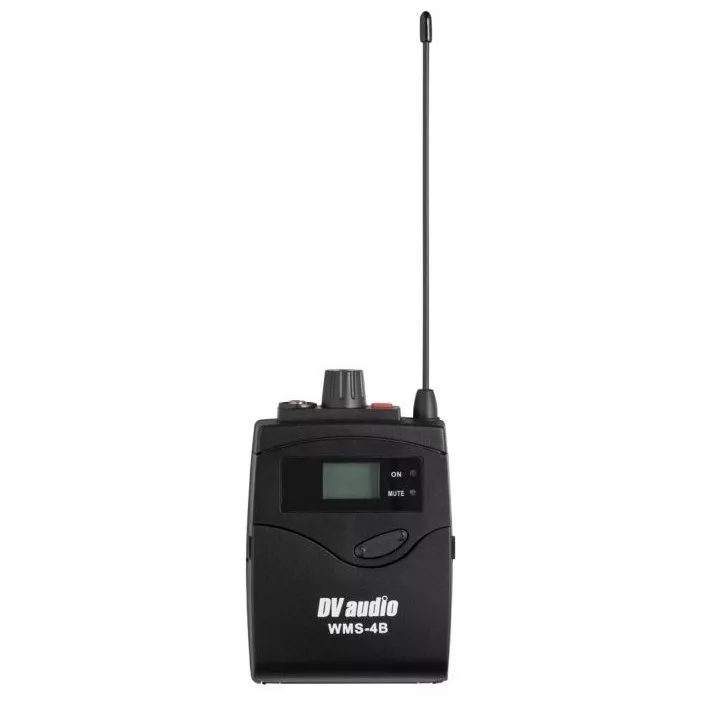 DV audio WMS-24B