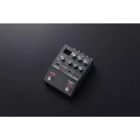 Boss RV-200
