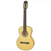 Aria A-20F