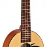Ortega RUPA5 Pineapple