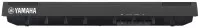 Yamaha P125B