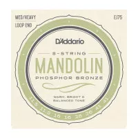 D'Addario EJ75