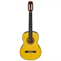 Aria A-30S N