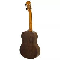 Aria A-30S N