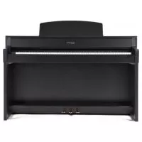 Gewa UP-380G (Black)