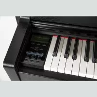 Gewa UP-380G (Black)