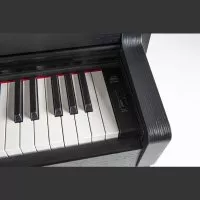 Gewa UP-380G (Black)