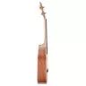 Prima M340T (Solid Spruce / African Rosewood)
