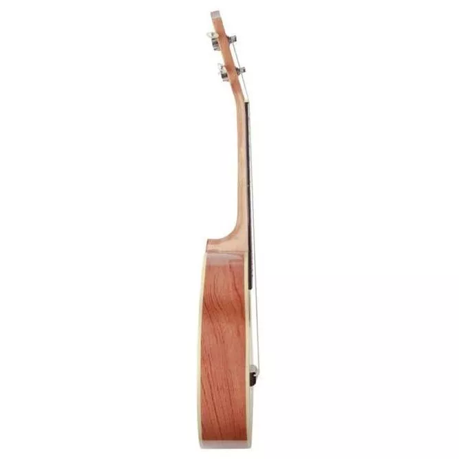 Prima M340T (Solid Spruce / African Rosewood)
