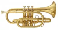Maxtone TCC53L