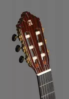 Alhambra 10 Premier CASE