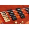 Schecter STILETTO STUDIO-5 FL HSN