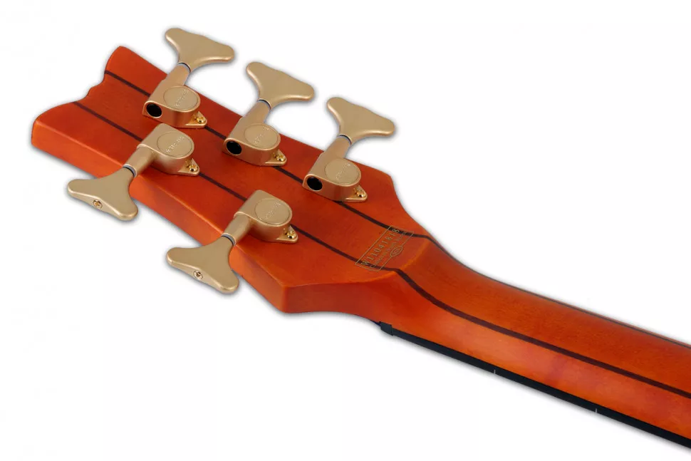 Schecter STILETTO STUDIO-5 FL HSN