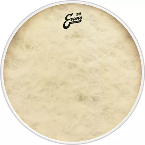 Evans BD20CT Evans BD20CT