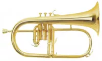 Maxtone TFC51LM