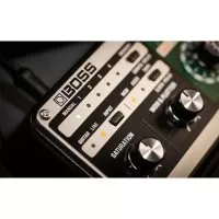 BOSS RE-202