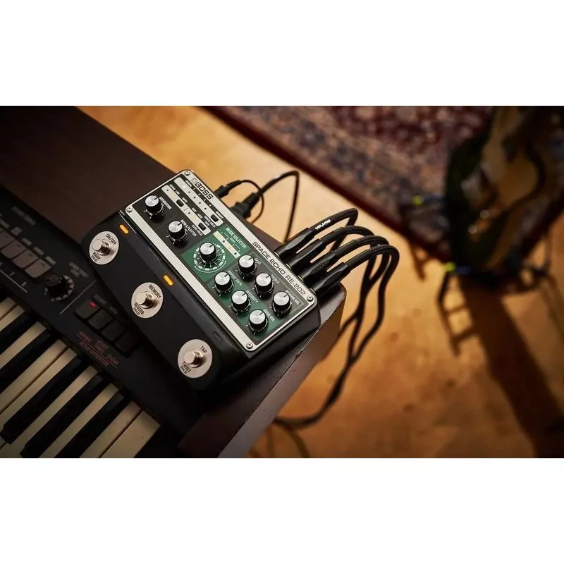 BOSS RE-202