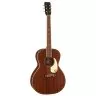 Gretsch JIM DANDY CONCERT FRONTIER STAIN