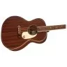 Gretsch JIM DANDY CONCERT FRONTIER STAIN