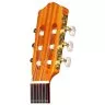 Cordoba C1 (with Gig Bag)
