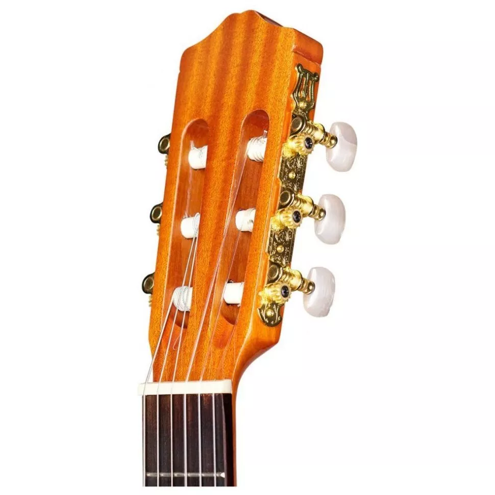 Cordoba C1 (with Gig Bag)
