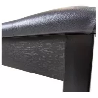 Pearl River S105 BK