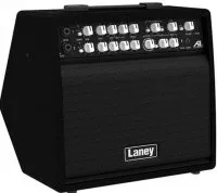 Laney A1+