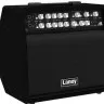 Laney A1+ Laney A1+