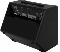 Laney A1+
