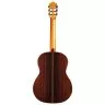 Cordoba C10 CD W/C