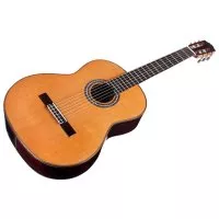 Cordoba C10 CD W/C