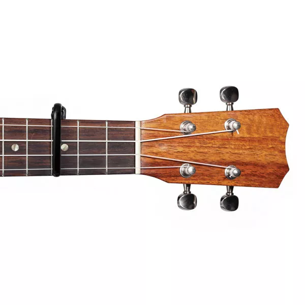 Planet Waves PW-CP-12