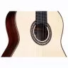 Cordoba C10 SP W/C
