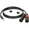 Klotz AY9 Y-CABLE STEREO MINI JACK - 2xXLR MALE BLACK 1 M