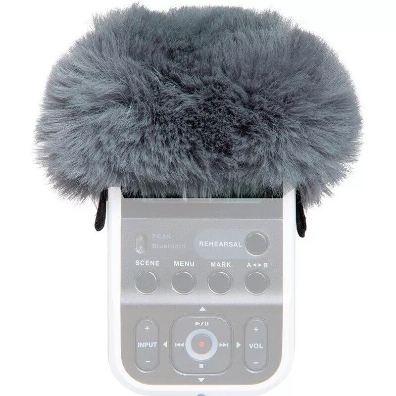 Roland Roland R07-WS Roland Roland R07-WS