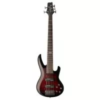 VGS Cobra Black Cherry Burst (5 Strings)