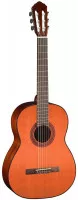 Cort AC100DX YT