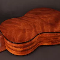 Cort AC100DX YT