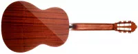 Cort AC100DX YT