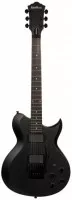 Washburn WI200V PRO ECK