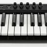 IK Multimedia IRIG KEYS2 PRO