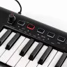 IK Multimedia IRIG KEYS2 PRO