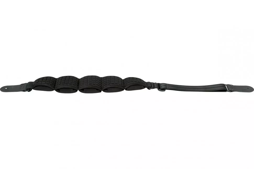 Ibanez BWS900
