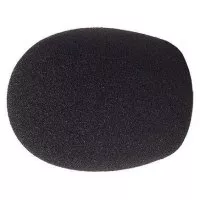 Rycote Foam 30/55 Reporter Mic